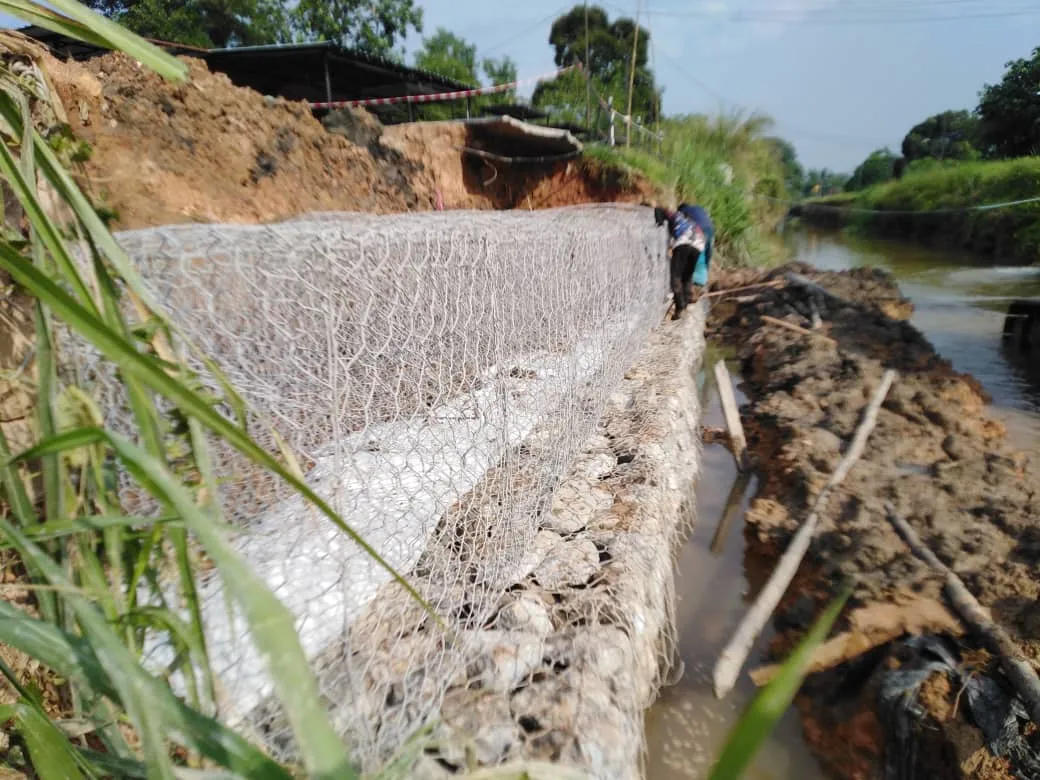 WhatsApp Image 2024-10-22 at 09.54.37