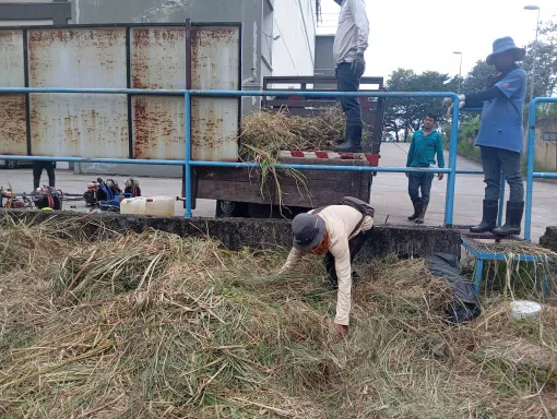 WhatsApp Image 2025-06-06 at 16.09.41