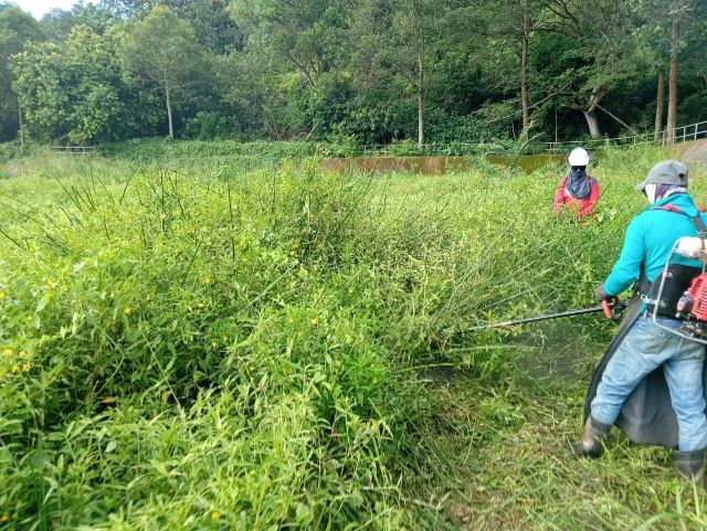 WhatsApp Image 2025-06-08 at 09.28.49